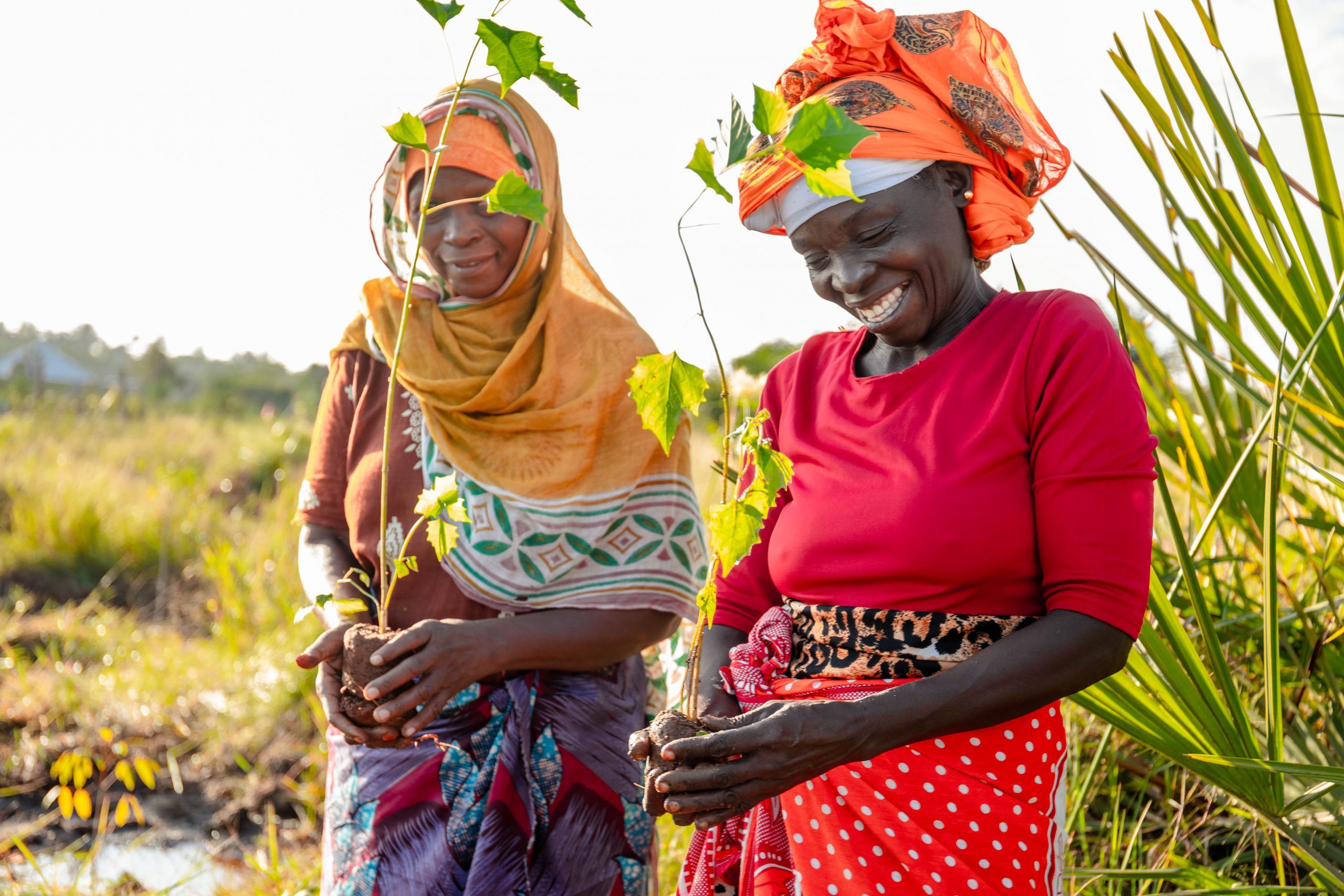 Local women planting trees, Tanzania