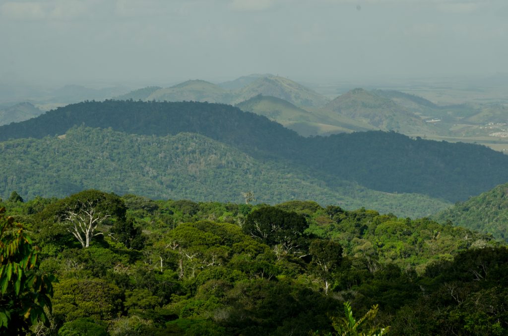 The 15 Ecoregions of the Atlantic Forests Global 200 Ecoregion