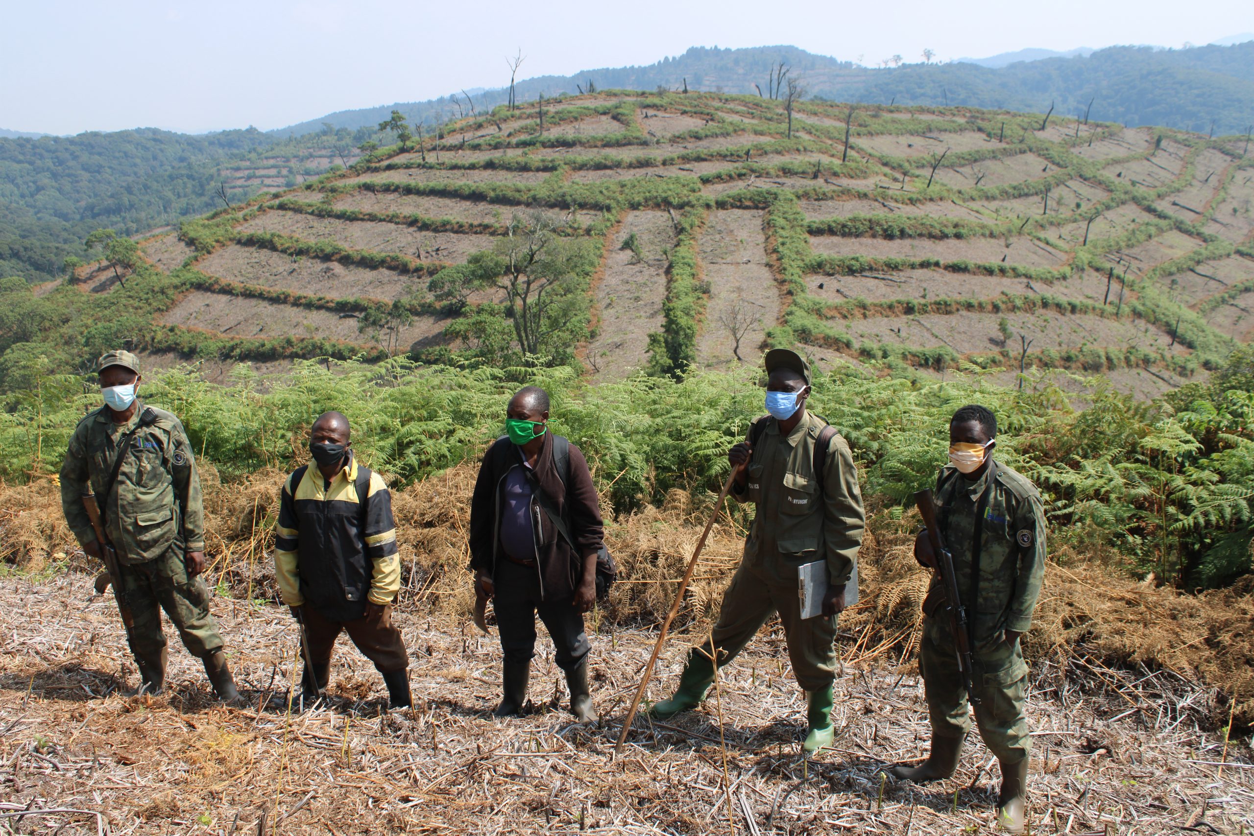 Team of forest restoration workers in the field