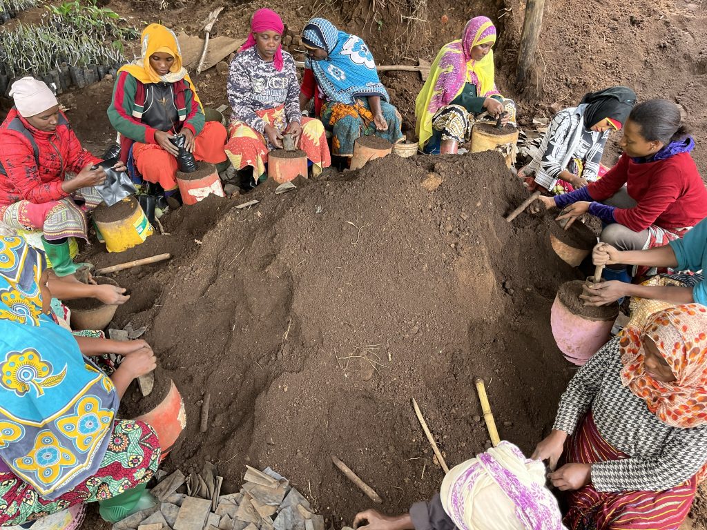 Women planting tree saplings in ploybags