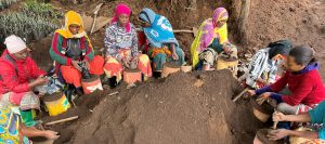 Women planting saplings in poly bags