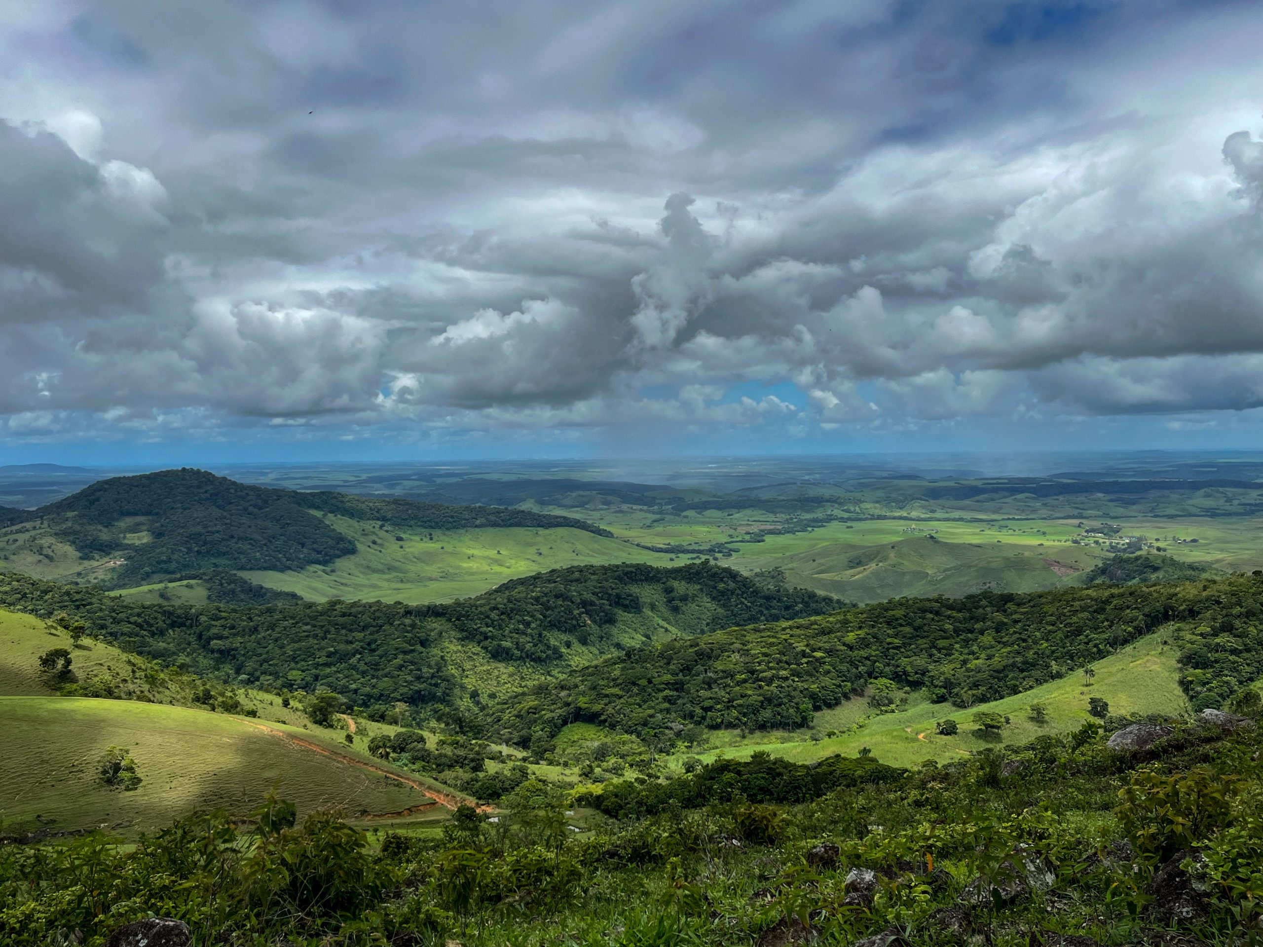 Forests2Follow - A globally significant landscape: South America's