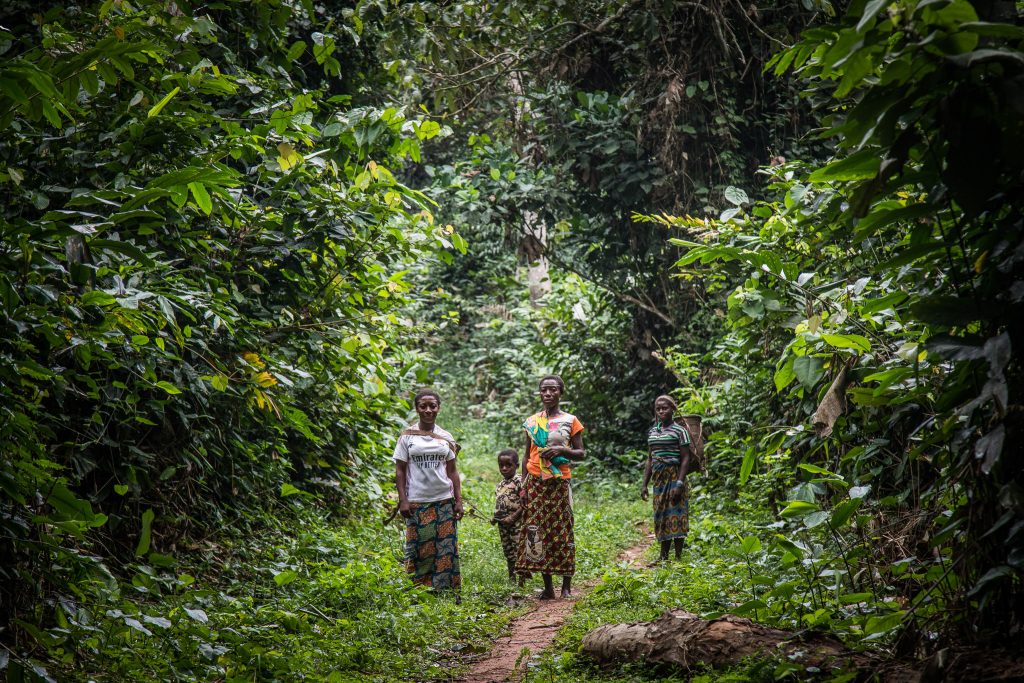 The Congo Basin is under threat - here's why we need to act now