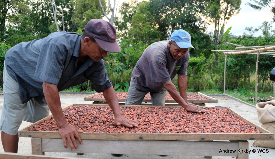 Sorting cocoa beans in Makira, Madagascar.